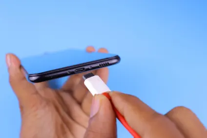 PlayLeon Casino Aplicación móvil